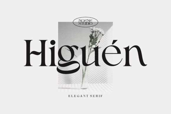 Higuen: A Serif Font for Elegant, Modern Design
